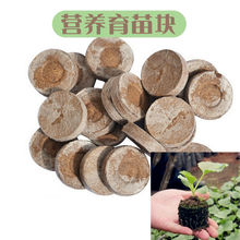 1椰砖大批量培育种子营养土无纺布育苗块压缩糠土多肉叶插苗木扦