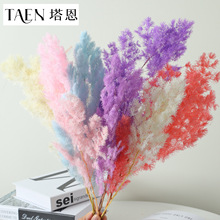 ���˹�100�����������R�ɸɻ��[����ˇDIY�bɻ����b�������l