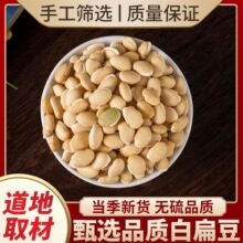 白扁豆中药材扁豆衣扁豆白扁豆原料药用白扁豆