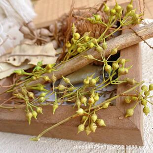 С�׹���Ȼ���ľGɫֲ��N�ӻ��ٸɻ��ֹ�DIY�b����L�ɻ�����