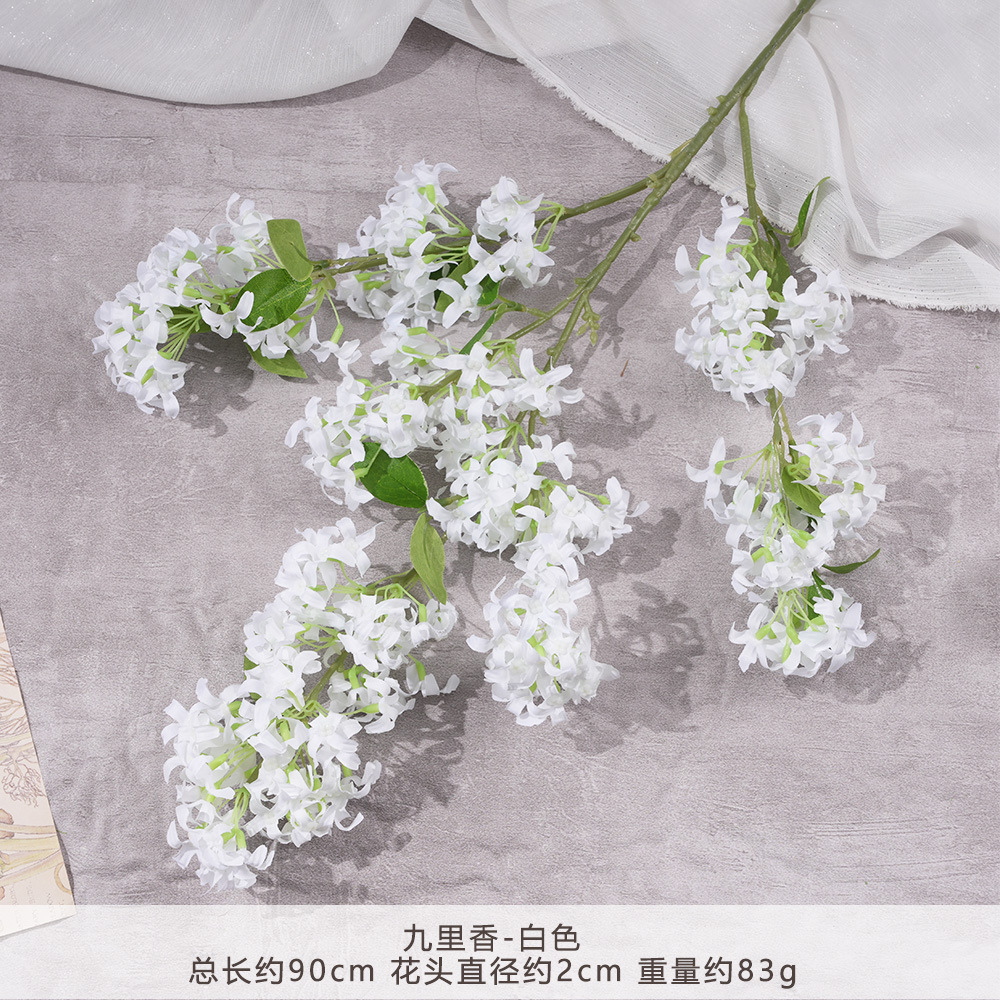 TG - มะลิ - สีขาว