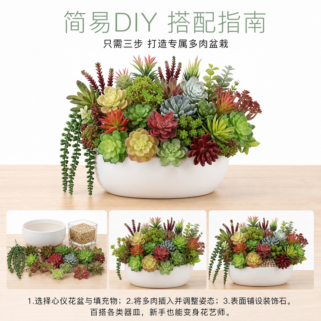 6101多肉详情页 (8).jpg