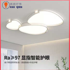 新款LED吸顶灯现代简约客厅灯创意卧室灯个性鹅卵石造型灯