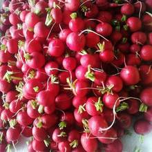 ���r�����}��С�}��ˮ�t�}��������۶�֭ˬ��ɳ��ʳ�����rֱ�l