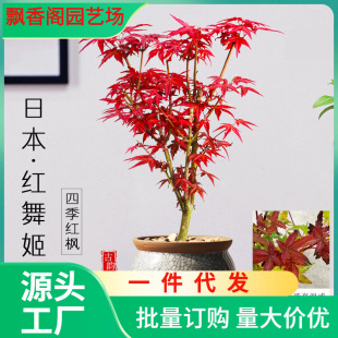 һ�����l�ձ��t���辰ֲ��t�輧�����҃��ļ����B�����̨ͥԺ��