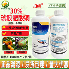 �б��߼�30%���z�����~�Ҹ������ٹ�����@�����������rș