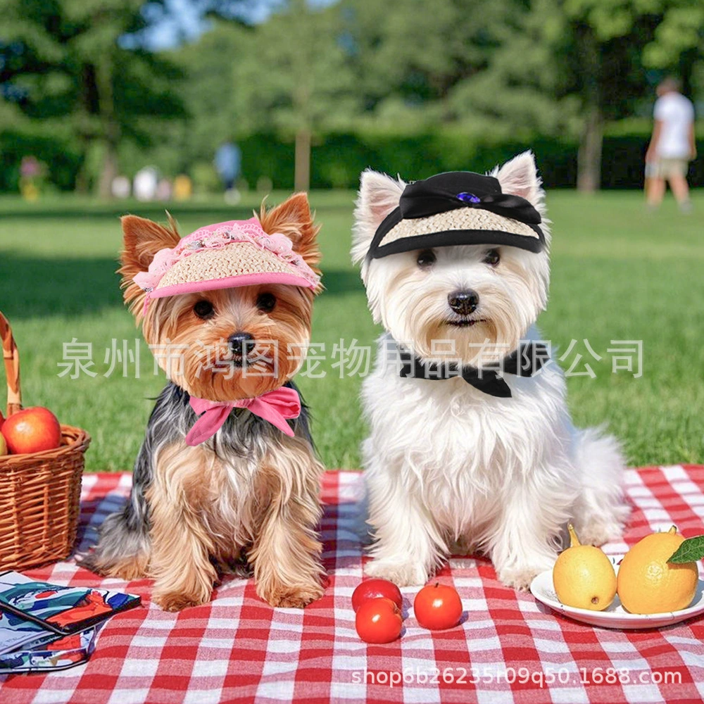 Новая трансграничная шляпа для домашних животных, летняя шляпа для собак, маленькая собака Тедди, солнцезащитная шляпа от солнца, шляпа с открытыми ушами