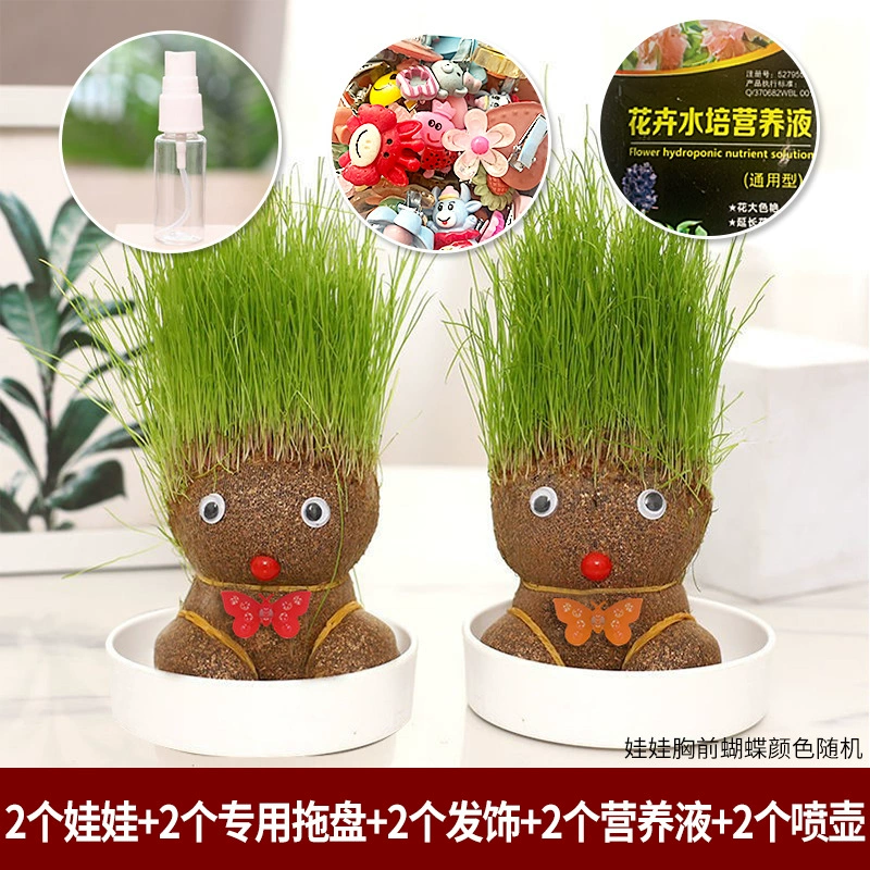 [批发草头娃娃浇水头上长草人绿植长头发儿童好养种草幼儿园桌面小]