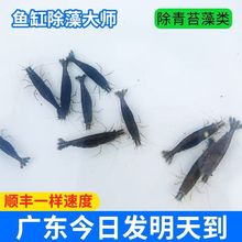 �V�|�ښ��r���w�����~�ײͳ����r�坍�r�^�p�r���r�~�׻��w����]