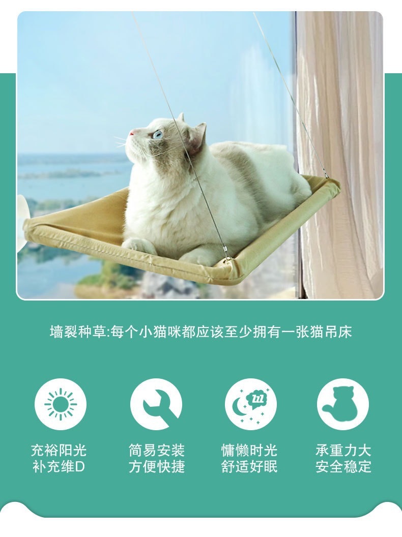 6e3989aa-614b-4c2f-bf31-2c14b99ff1ee.jpe