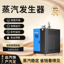 燃气锅炉全预混低氮冷凝蒸汽发生器出汽快产汽足稳定运行蒸汽锅炉