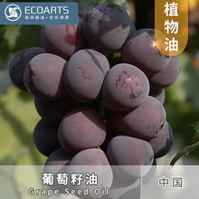 �������ͷN����ȡ���ͷ�����������ԭ�����l�η����A���䉺ֲ����