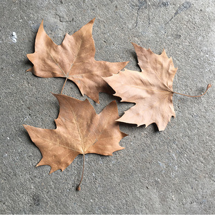 ��Ȼ���~��ͩ�~���~����~�������~�����Ĕz���ߙ����b����쾰