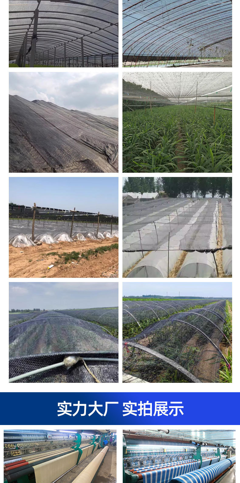 4948897c0236df5715b97472a0a0e9