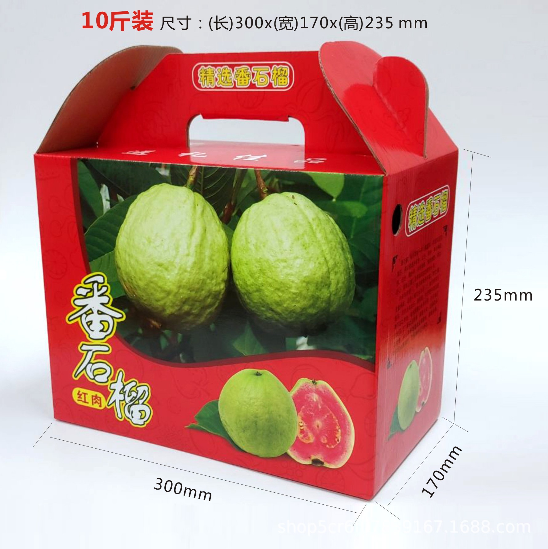 红肉番石榴尺寸图-10斤装