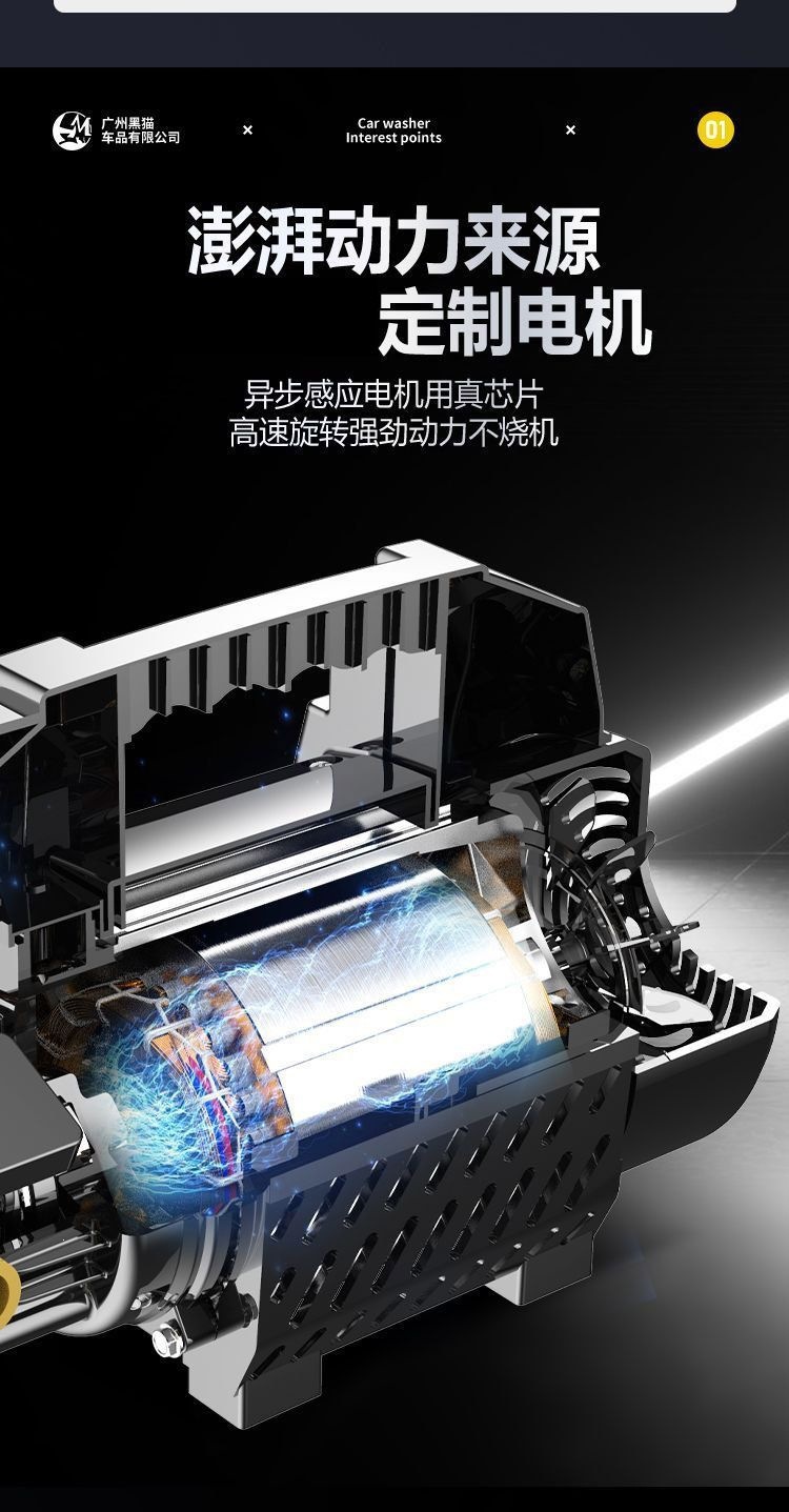 Giant Dragon Black Cat Pressure Washer 220V Household High-Power Fully Automatic Adjustable Pressure Car Washer