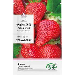 �������Ͳ�ݮ�N���ӷNֲ�ļ��N�Ӱ� �玧�������ʳ����ţ������