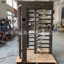 ���S���lȫ�����D�T ʮ���D�l �����D�l�S�� �WУС�^�D�l ���l�T