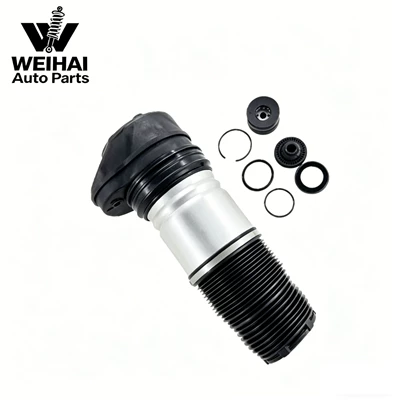 37106869029 Bmw X5G05 Front damping system