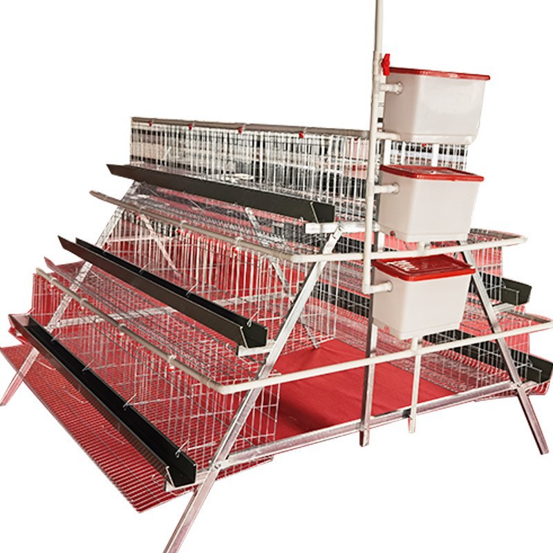 Jaula de huevas de escalones de tres capas de cuatro capas de jaula de huevas de escalones de tipo A accesorios de jaula de jaula de gallinas de huevas