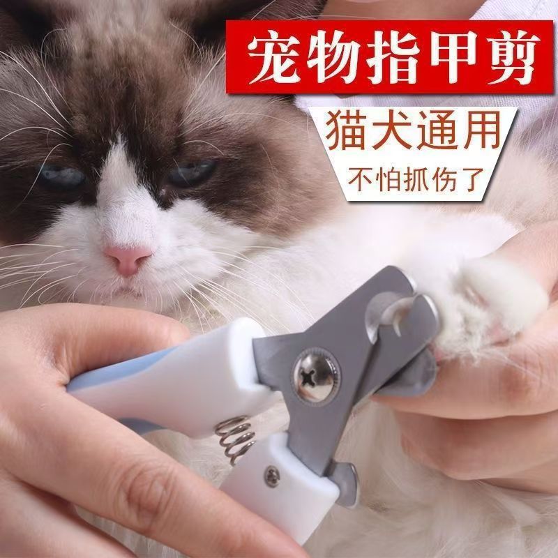 Nail scissors