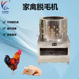 脱毛机 家禽脱毛机 鸽子打毛机 不锈钢滚筒式脱毛机 全自动羊头打