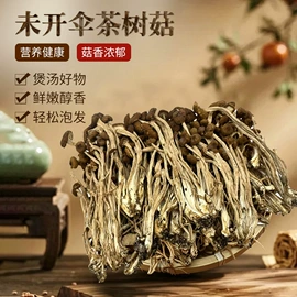 香菇;银耳;其他干货