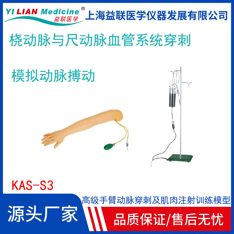 Advanced Arm Artery Puncture and Muscle Injection Training Model Artery Puncture Training Model Nursing Science Model