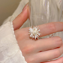 ���韟���_�ڽ�ָŮ�p��С��ʳָ��2026�¿�ָ�hС���߼����p��Ů