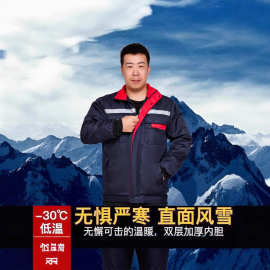 2020冬季基础大众中男式棉服时尚都市立领来样加工棉衣外套加厚