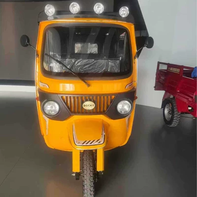 Open Passenger Adult with – Wēn Dí Auto Parts and Accessories