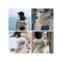 �羳PATA����P-6�����L����T����Ůͬ���240�˱����l��38518