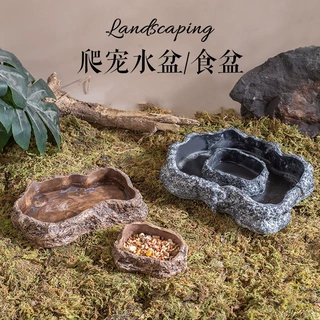 爬宠食盆水盆仿岩石泡澡盆蜥蜴陆龟角蛙守宫爬虫宠物蛇饮水喂食盘