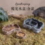 饮水宠物蛇守宫角蛙
