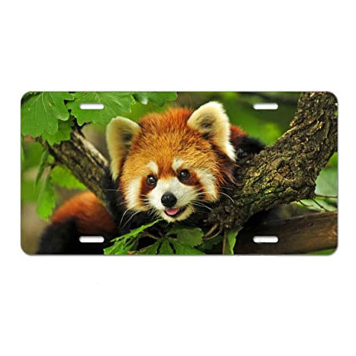 23 (비재고 금액은 이유없는 반품을 지원하지 않습니다)