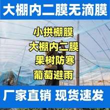 大棚膜内膜二层膜三膜小拱棚膜葡萄避雨膜柑橘保温防雨防冻防寒霜