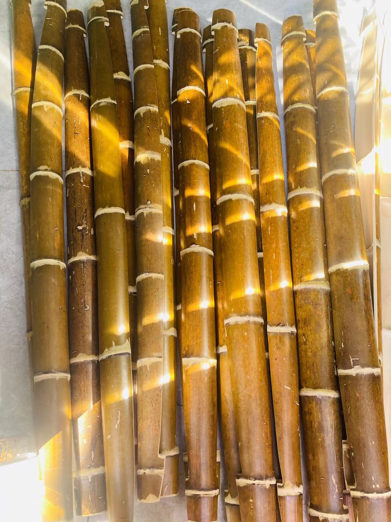 1-1.1 후크로프가 없는 불구하고 녹색을 죽이고 나방을 방지하는 모델