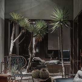 森空间仿真植物室内客厅落地盆栽龙舌兰造景装饰摆件大型仿生绿植