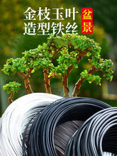 �辰�����X�z����֦ܛ�F�z���珝�����Ͷ�������÷�_�h�ɹ̶�
