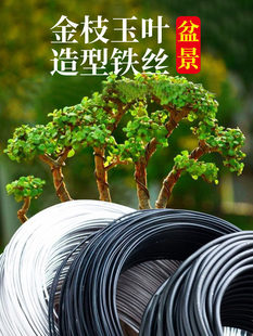 �辰�����X�z����֦ܛ�F�z���珝�����Ͷ�������÷�_�h�ɹ̶�