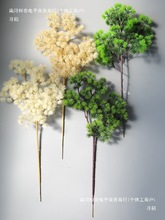 ����ɴ���������R���װ׻�c�����ʽ�쾰֦�~ӭ�����°��~