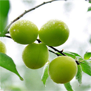 ����ֱ�N�޽���÷����ͥԺ�̨�Nֲ��÷����