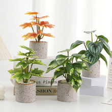 朵芙仿真绿植盆栽创意跨境热销十叶盆栽装饰酒店桌面办公现货批发