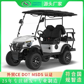 电动观光车;高尔夫球车;救护车