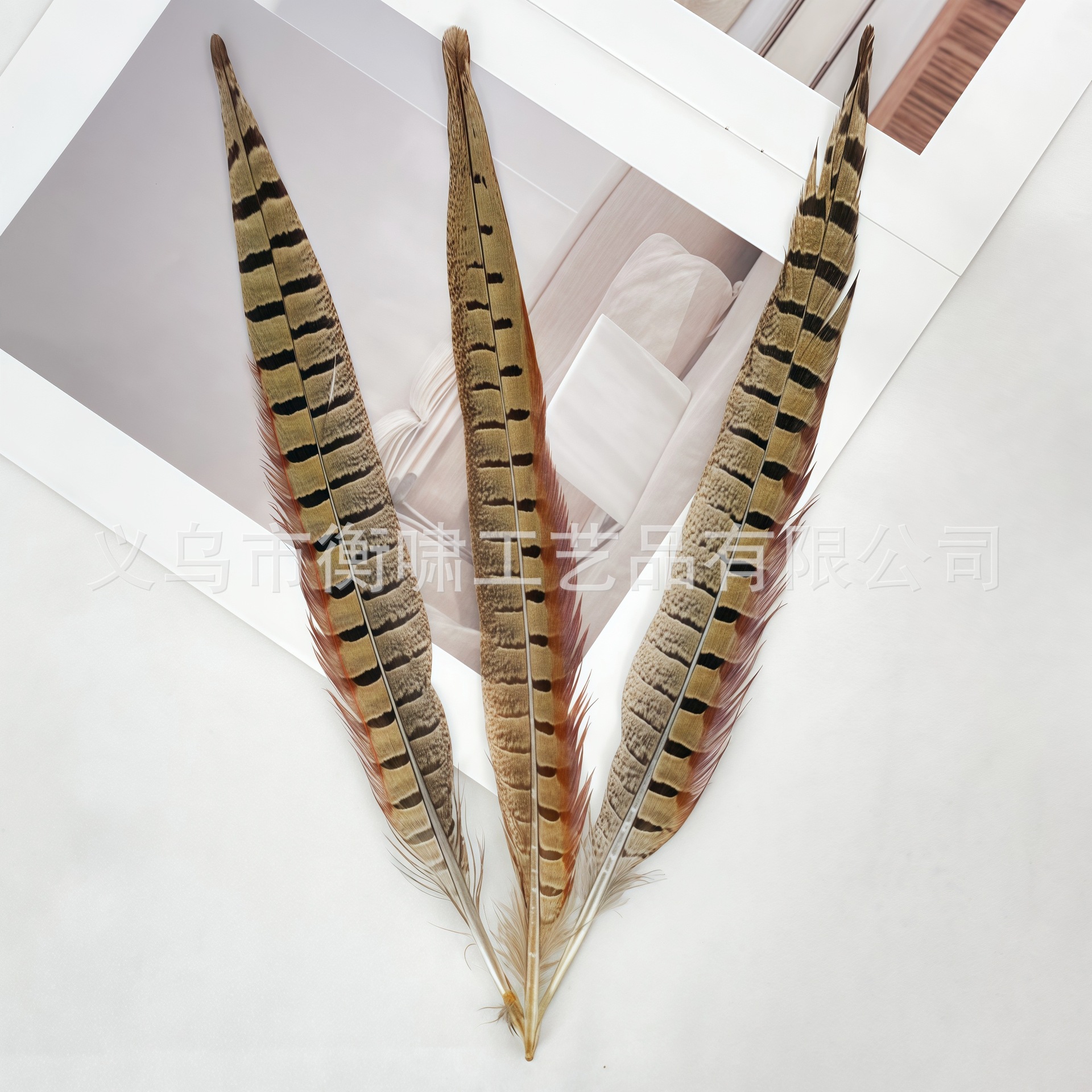 Pollo de caballo pluma pluma diy palo de gato pluma flor de ópera de Pekín espectáculo de danza props