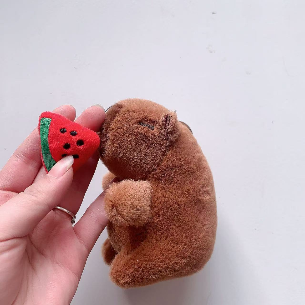 仏陀系の萌えはかわいいカピバラの君をかわいがります。