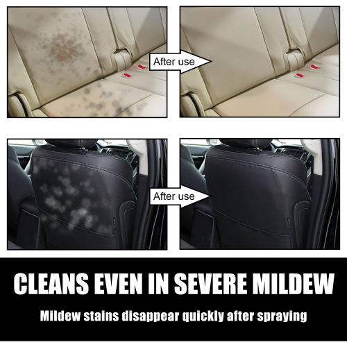 Rayhong Car Mold Remover, Interior Cleaning and Maintenance Mold Remover for Car Seats, Floor Mats, and Ceilings