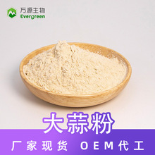 大蒜粉食品原料浓缩粉腌制烧烤调味料蒜蓉粉香料源头厂家1kg