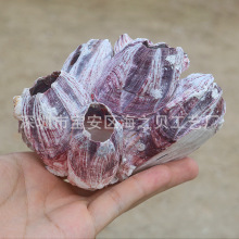 ȻؐىRӺʯ ˮ~쾰bؐ~~C