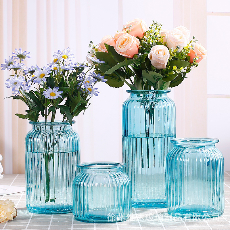 European-style Creative Vertical Rim Glass Vase Transparent Hydroponics Flower Flower Ornaments for Living Room Home Decoration Colorful Dried Vase